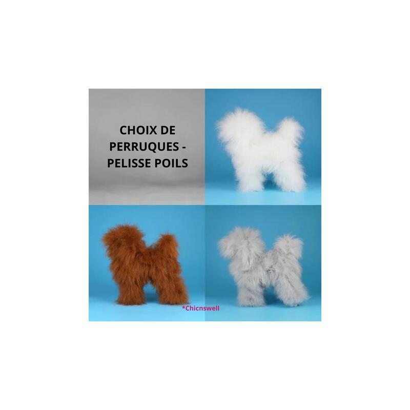 Opawz High Density  Wig Only for Poodle Modeldog