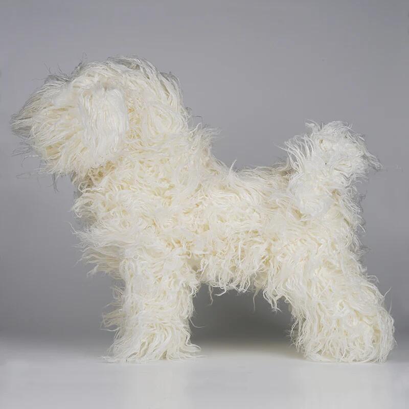 Opawz WIG only for the Bichon Modeldog