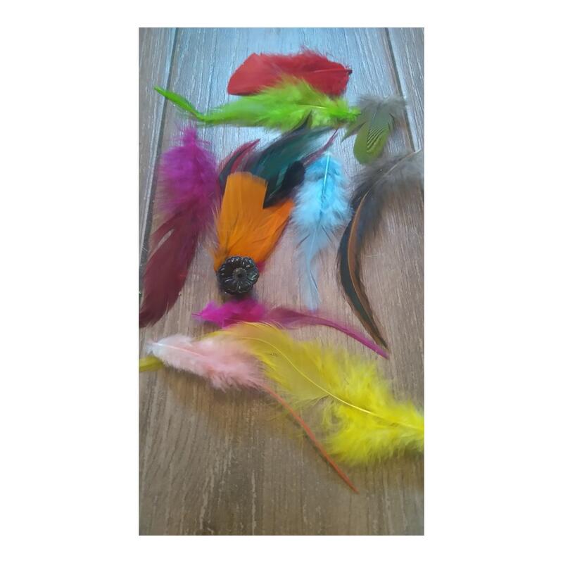 Feathers Extensions 
