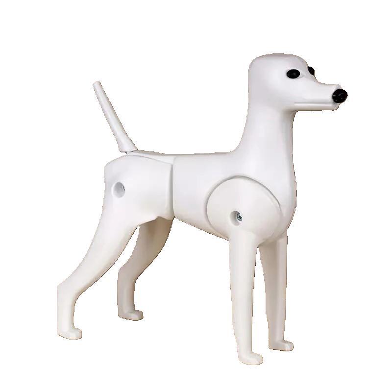 Skeleton Poodle modeldog
